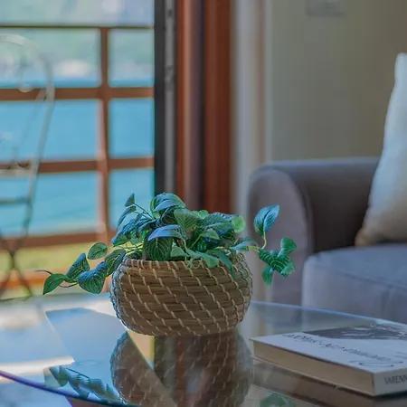 La Maison Du Appartement *