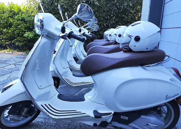 شقة La Maison Du *